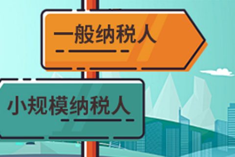 拉薩一般納稅人做賬報稅代理費用為什么高于小規(guī)模納稅人？