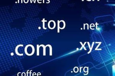 拉薩網(wǎng)站建設(shè)常見(jiàn)問(wèn)題之什么是域名？如何購(gòu)買和選購(gòu)域名？